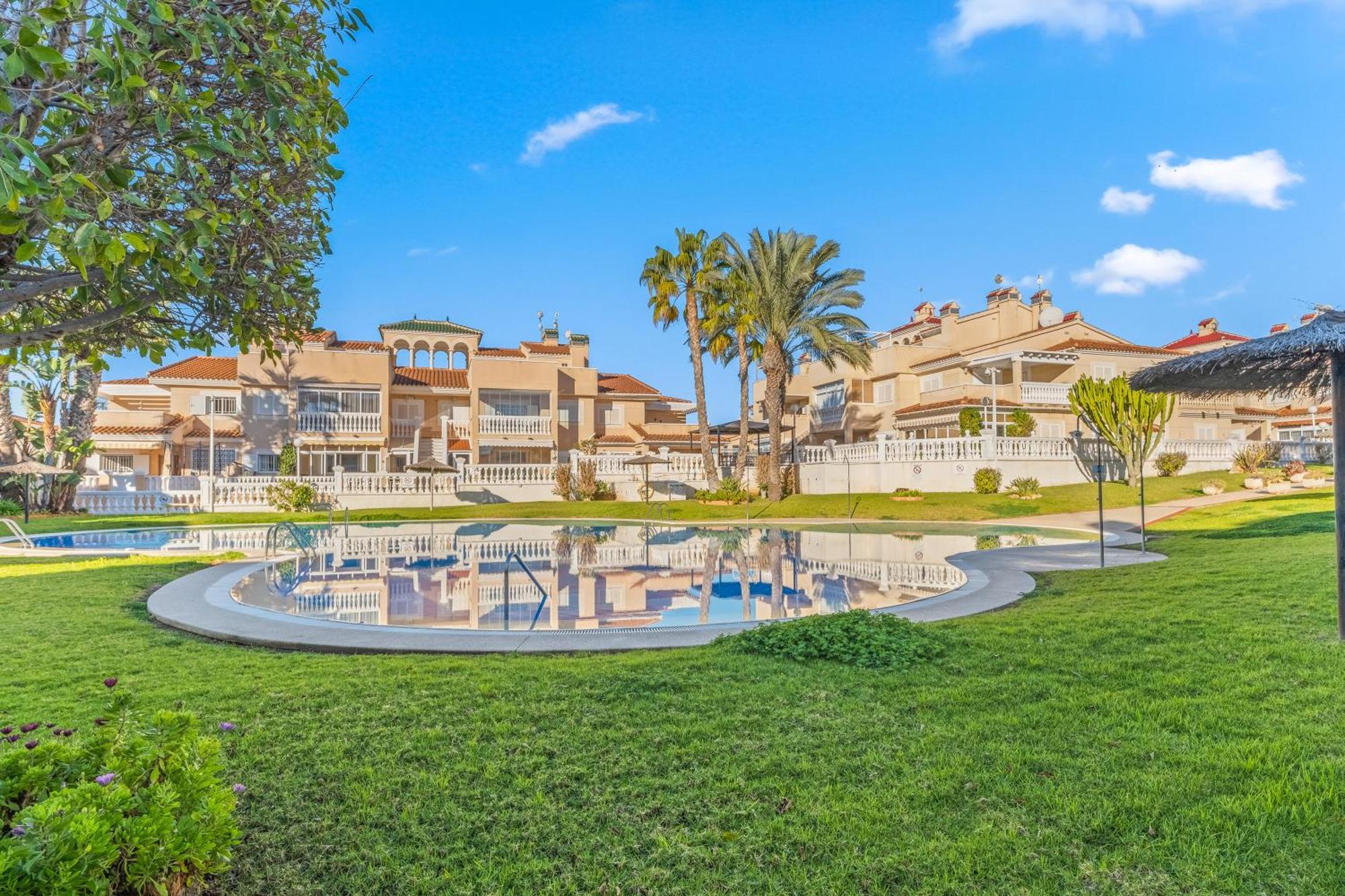 Bugenwilla Orihuela Costa Dehesa de Campoamor (Orihuela Costa)